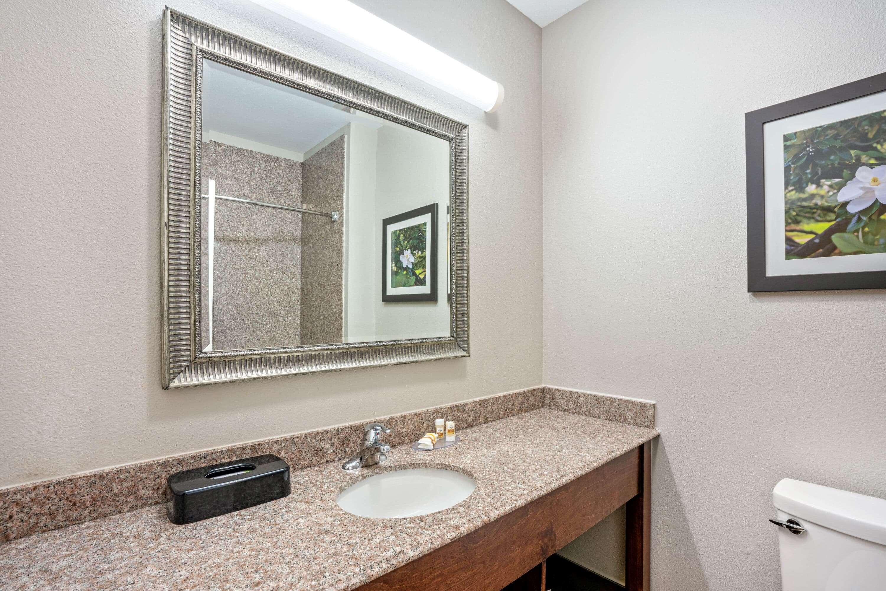Hotel La Quinta By Wyndham Houston - Magnolia Extérieur photo